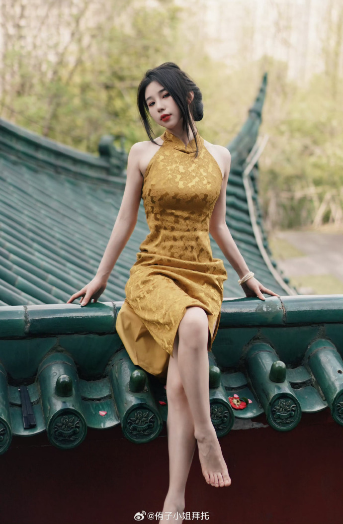 我的阿勒泰 封面